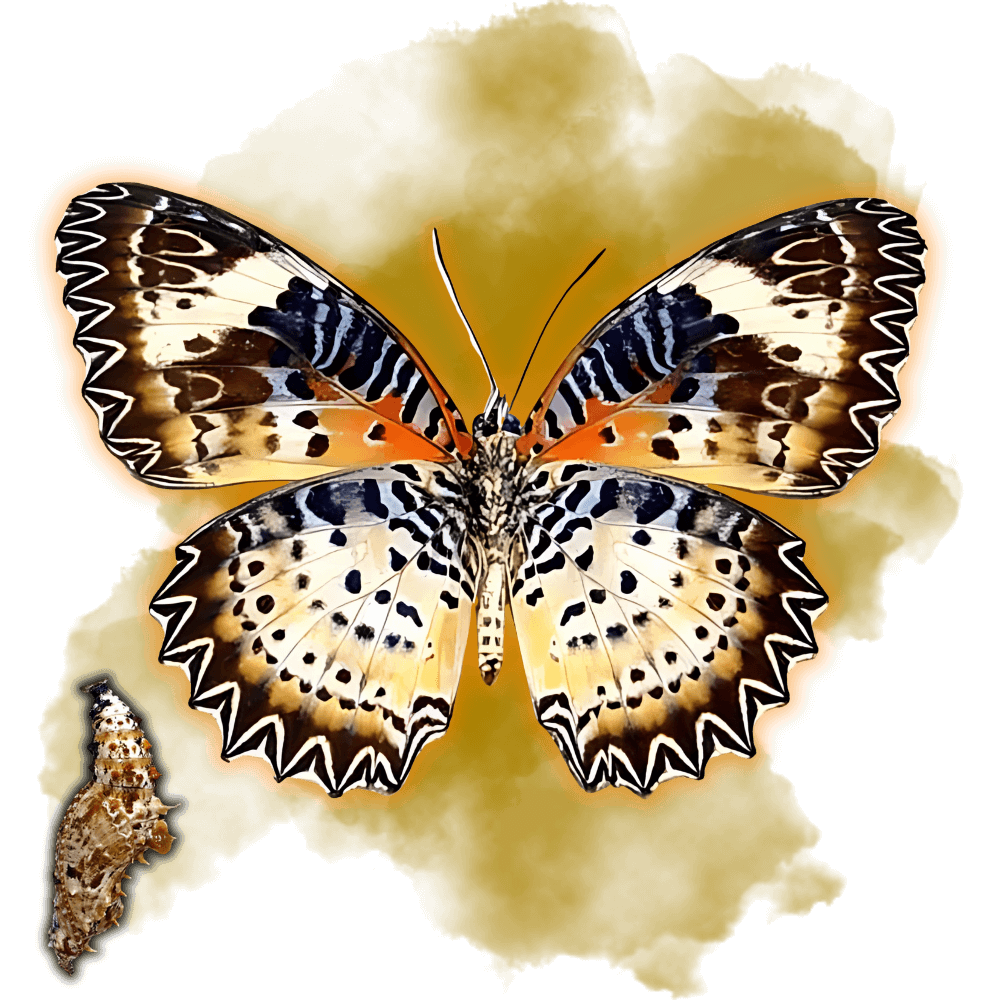 Cethosia Cyane - TropiFly™