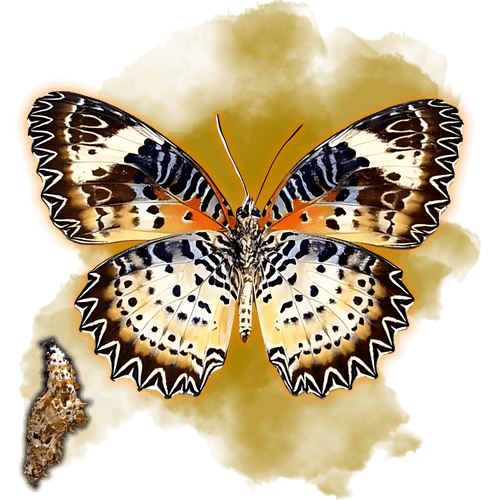 Cethosia Cyane - TropiFly™