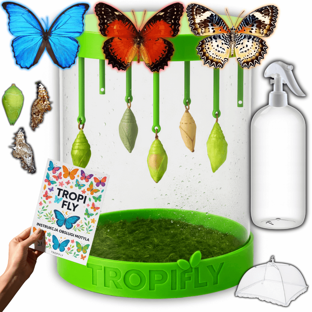 TropiFly™- Zestaw MAXI