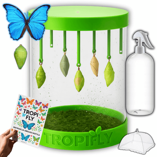 TropiFly™- Zestaw START