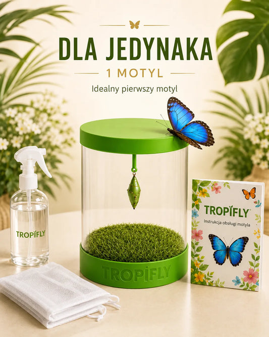 TropiFly™- Zestaw START