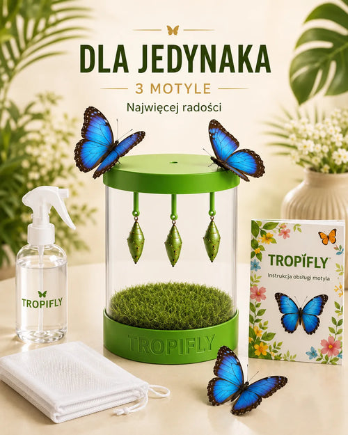 TropiFly™- Zestaw MAXI